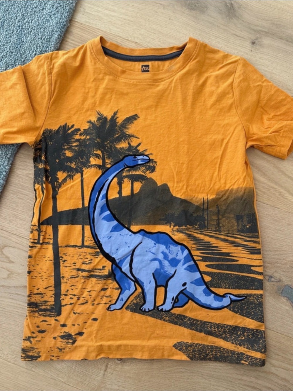 Tea collection dinosaur tee